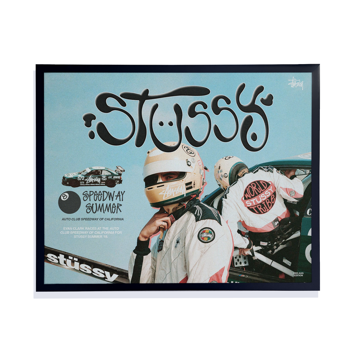 Stussy Print (Framed - 1 Available)
