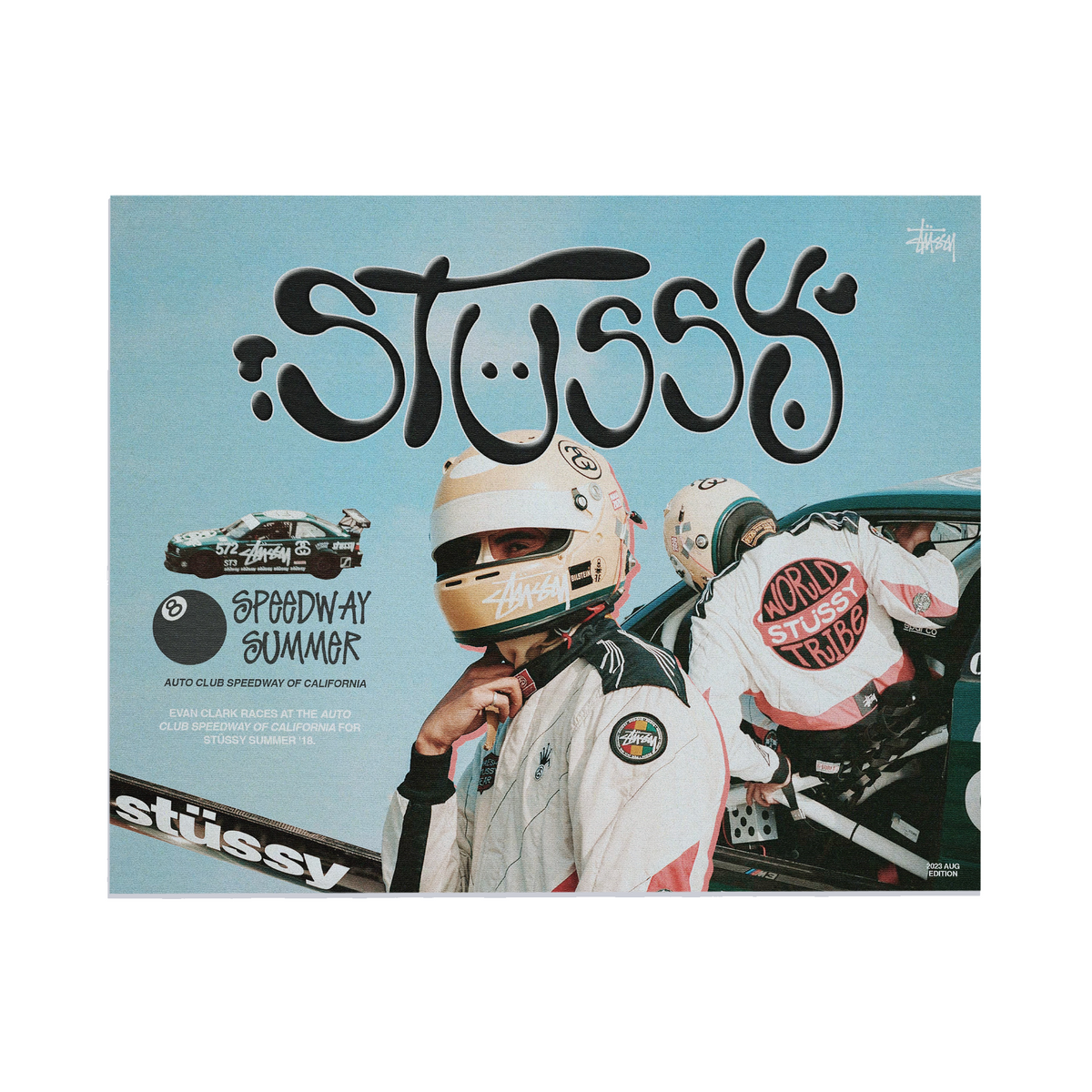 Stussy Print (Unframed)